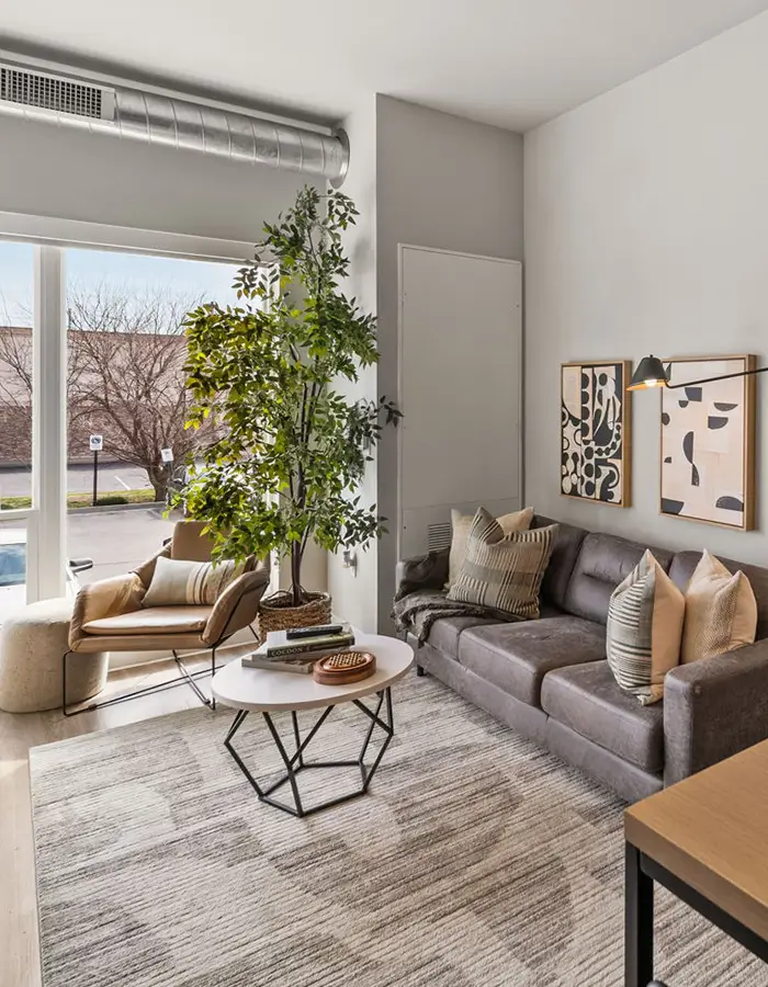 furnished living space